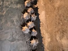 -水洞沟旅游区
