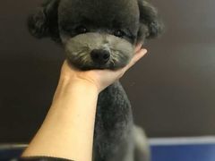 -沐沐家宠物(成寿寺店)