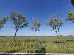 -黑龙江扎龙生态旅游区