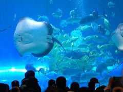 -华夏文旅海洋公园