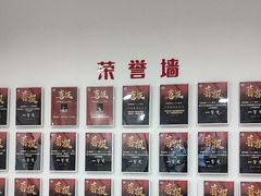 -西安小天鹅艺术团(金花路校区)