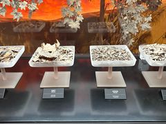 -河姆渡遗址博物馆