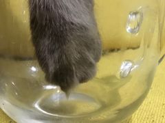 -星巴克(重庆火车北站北广场II店)
