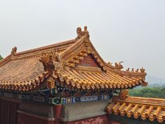 -颐和园