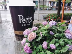 -Peet's Coffee皮爷咖啡(大学路店)