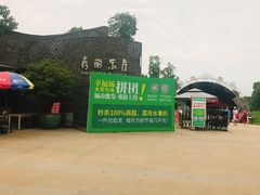 -秀丽东方