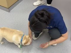 -康成宠物医院24H·CT·核磁共振