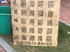 -广东圆玄道观