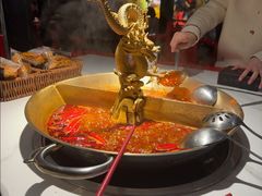 -小龙翻大江文化火锅(宽窄店)