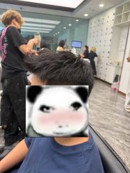 -YESIDO椰岛造型
