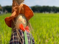-光明小镇欢乐田园