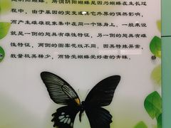 -上海昆虫博物馆