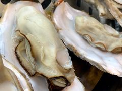 高压锅生蚝-日进一片海.生腌海鲜火锅.宵夜烧烤(三里屯总店)