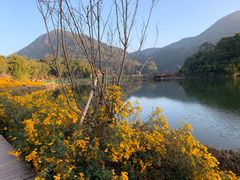 -广州市石门国家森林公园
