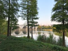 -尚贤河湿地