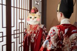 点击看大图 -至臻微拉婚纱摄影