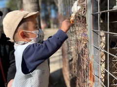 -草根堂农场