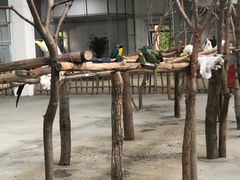 -哈尔滨北方森林动物园