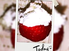 -红宝石·鲜奶小方(长阳店)