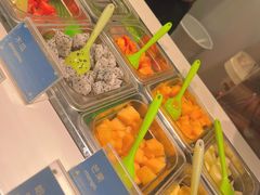 -Salud撒露欧洲冻酸奶(蓝色港湾店)
