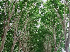 -河南省黄河迎宾馆
