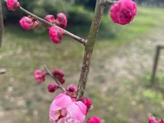 -花溪公园
