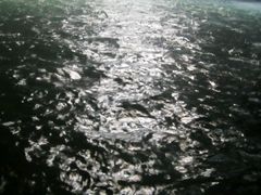 -华蓥山天意谷景区