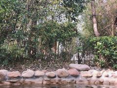 -深业半汤御泉庄温泉