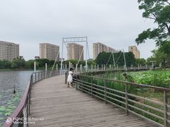 -海天湖公园