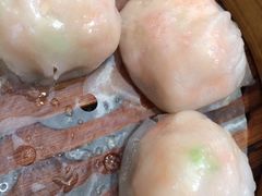 有腥气虾饺皇-有腥气私房菜·寻味顺德