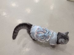 -共舞时光猫咖·狗咖(新街口店)