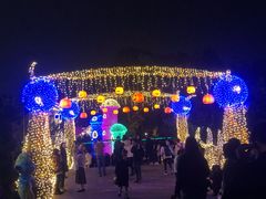 -南湖梦幻岛