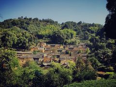 -杨家堂村