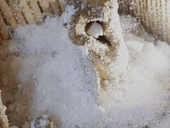 -扫雪煮茶(西村店)