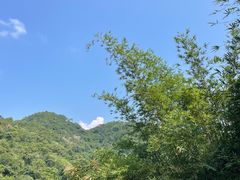 -广州白江湖森林公园