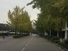 -四川大学(望江校区)