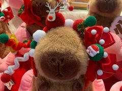 -酷乐潮玩(金桥国际店)