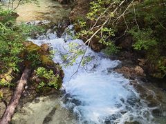 -黄龙山原始森林景区