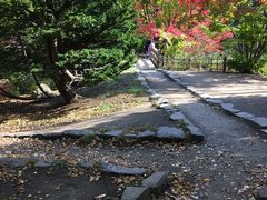 -北海道厅旧本厅舍(旧本庁舎)