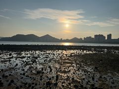 -日落吧·海景咖啡厅·餐酒吧·鸡尾酒·下午茶·乐队表演·浪漫夕阳·三亚文华东方酒店