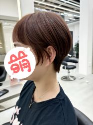 -蚂蚁造型俱乐部