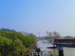 -宝安西湾红树林湿地公园