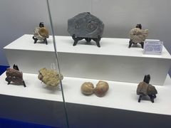 -贝壳王国博物馆