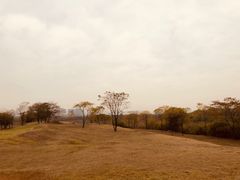 -盘龙城国家考古遗址公园