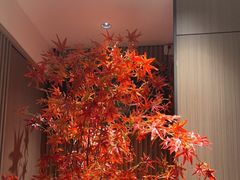 -徽镇小厨·经典徽菜(马连道店)