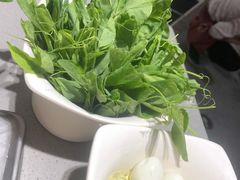 -海底捞火锅(金光华店)