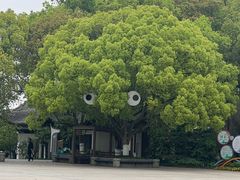 -天目湖山水园