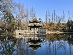 -习家池