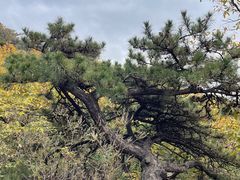 -天津盘山风景名胜区