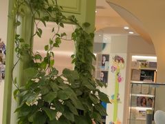 -顺德口腔医院(幸福东区店)